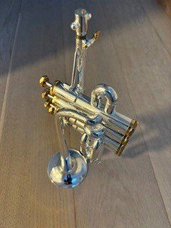 Thomann Strumenti musicali: Piccolo Trumpet Thomann TR-5400S – Usato da Locarno venduto da Mulg