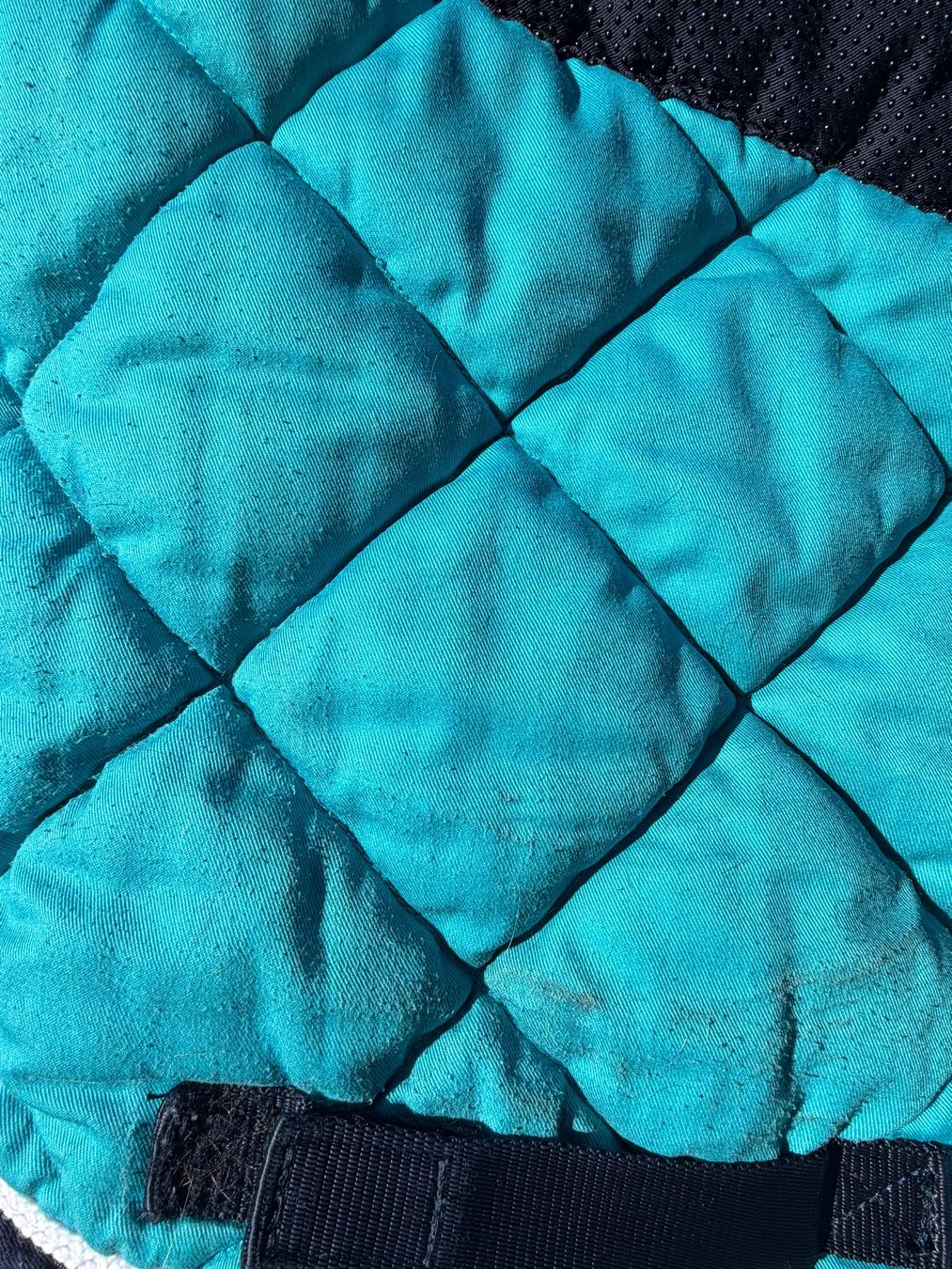 Selle & Accessori: Chabraque / tapis de selle équitation – Usato da Posieux venduto da evs_57x2 3