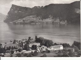 Kastanienbaum Chrischina 1961