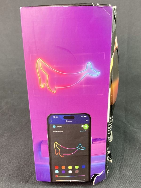 Govee Ghirlande e barre luminose: GOVEE | Neon rope light 2 | ca 3 m – Usato da Wittenbach venduto da Restwert_St-Gallen 1