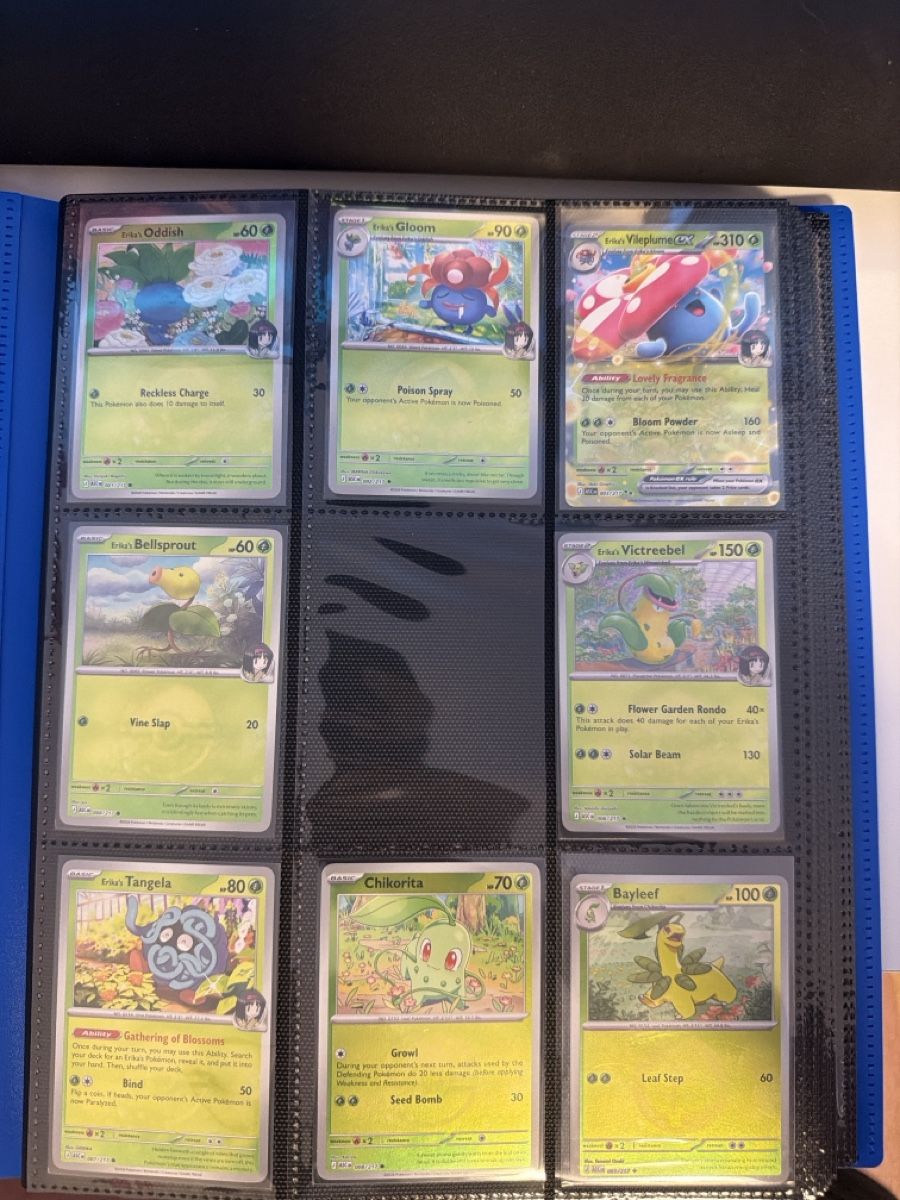 Pokémon Carte collezionabili: Pokemon Ascended Heroes Sammlung – Nuovo (secondo la descrizione) da Winterthur venduto da stipooo97 1