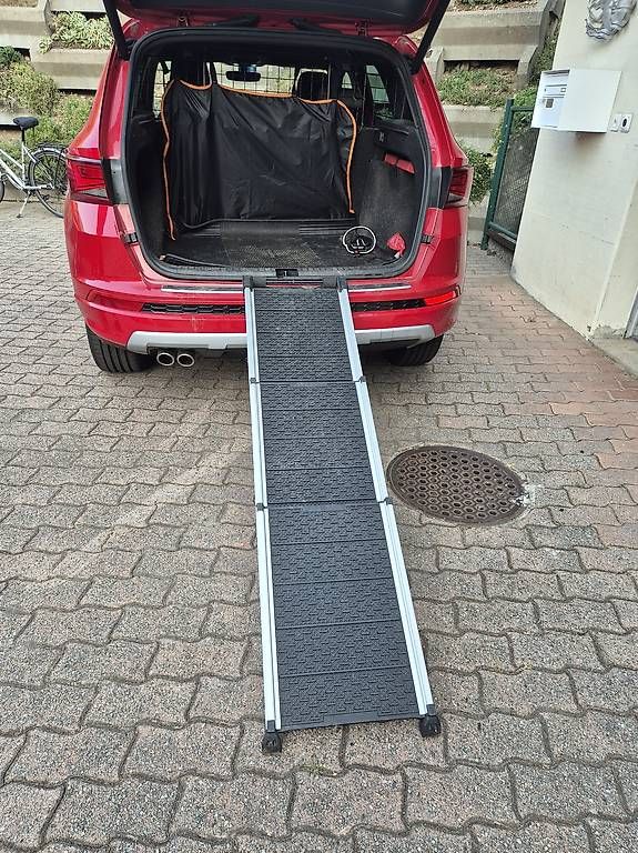 Scale: Hundetreppe – Usato da Monteggio venduto da pauwin 1