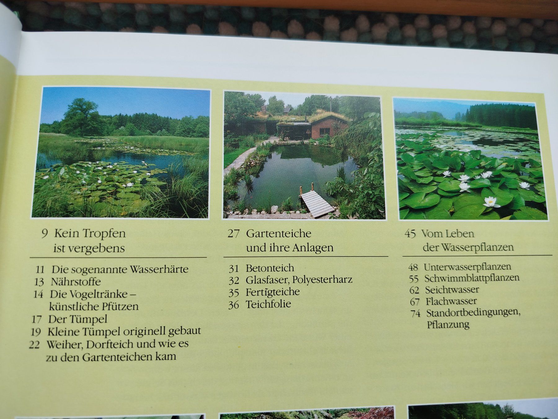 Bücher: FASZINATION GARTENTEICH – Gebraucht aus Wettingen von Colorup 2
