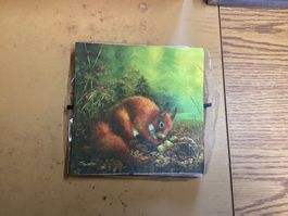 Eichhörnchen Untersetzer Neu & OVP 🐿️🍂ca15 stk