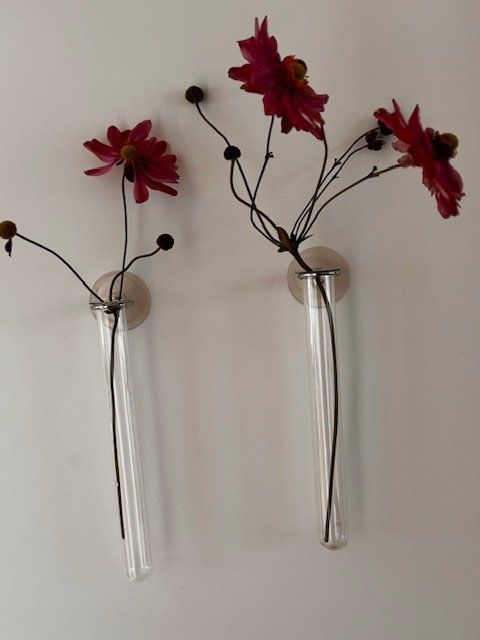 Tutte le decorazioni: 2  Reagenzglas-Vasen mit Saugnapf – Nuovo (secondo la descrizione) da Honau venduto da sainj 1