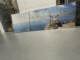 3-teiliges Wandbild "Möwe am Meer", neuwertig & schön!
