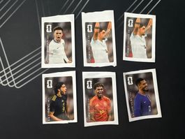 Panini WM 20026 Coca Cola Stickers