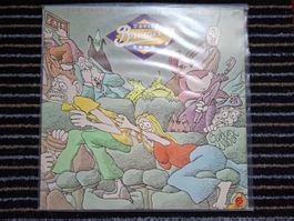 David Bromberg Band LP guter Zustand Blues-Rock