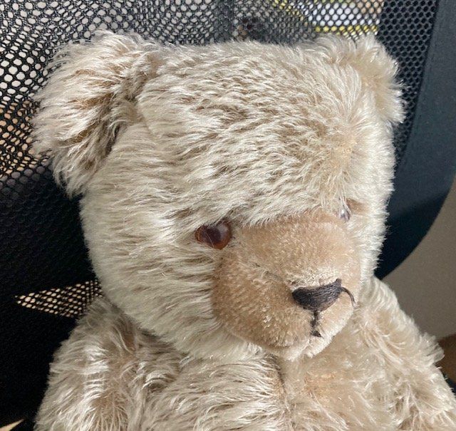 Giocattoli: Teddybär, antik – Usato da Kriens venduto da heleneb02 2