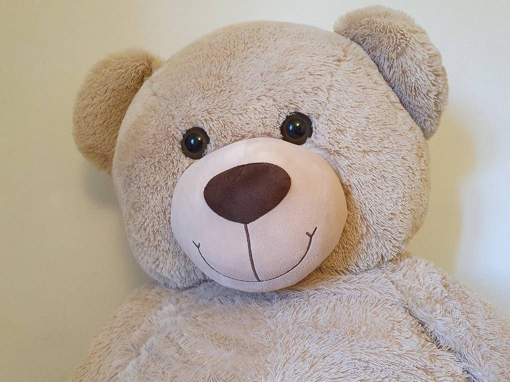 Migros Spielzeuge: Teddybär XXL – Gebraucht aus Uster von refritz12