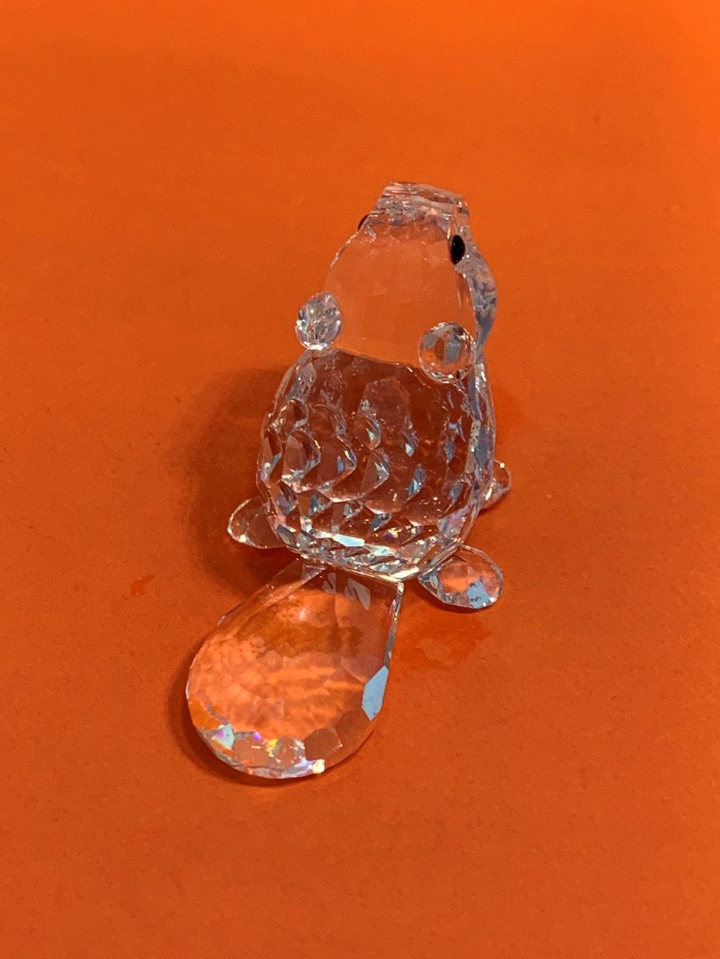 Swarovski Statuette: Swarovski Biber mit OVP – Nuovo e nell'imballaggio originale da Oberglatt ZH venduto da Multimix 3