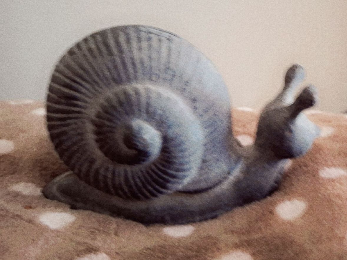 Tutte le decorazioni: Deko Schnecke grau Beton? für Garten oder Haus – Nuovo (secondo la descrizione) da spreitenbach venduto da lumbalplatte