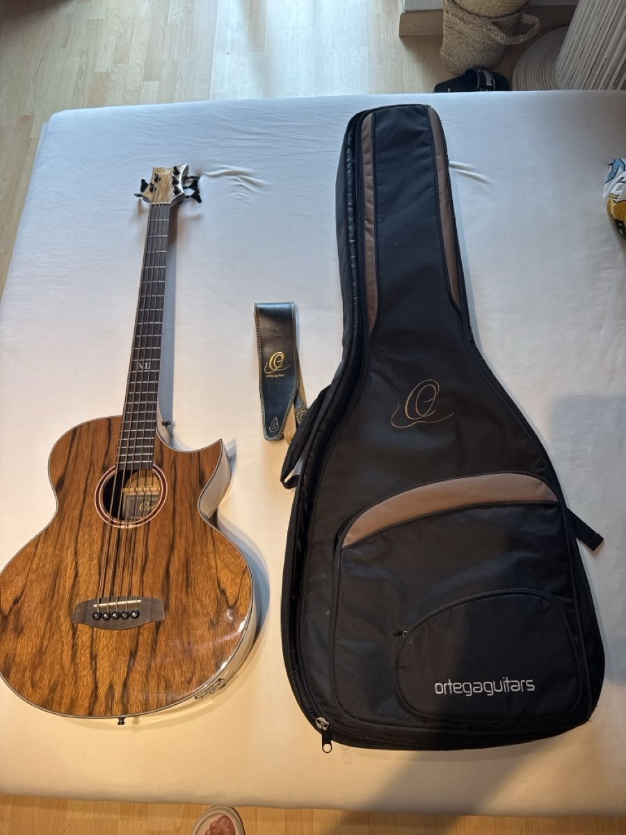 Strumenti musicali: Bass Gitarre Halbakustisch – Usato da Adelboden venduto da gloomer 2