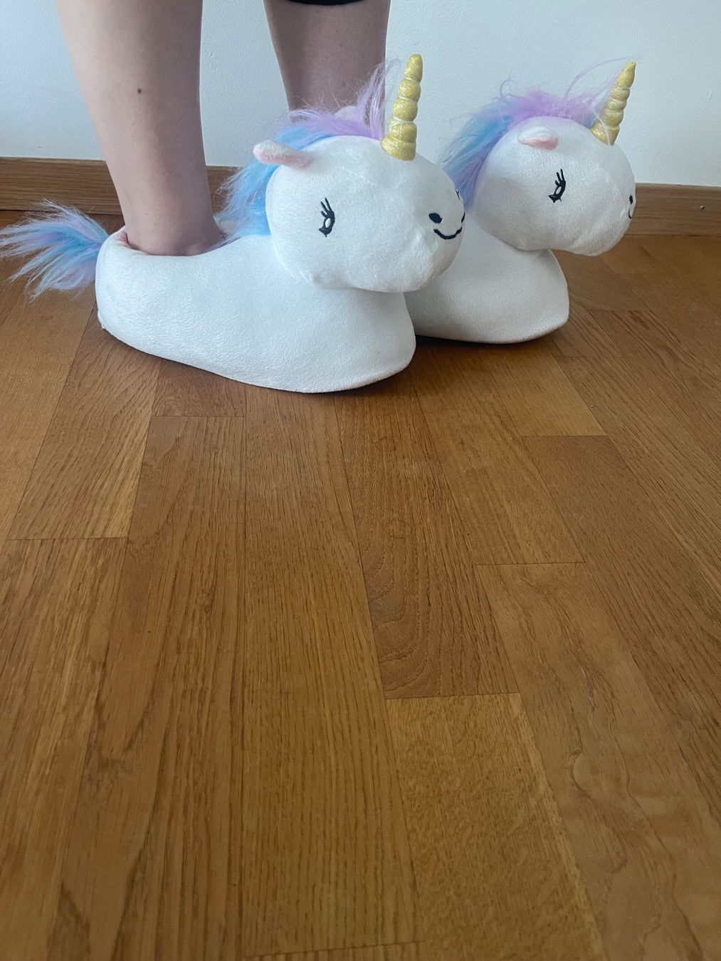 Chaussures hommes: Einhorn Plüschfinken Grösse 38 – D'occasion à Dietikon par Freestyla 3