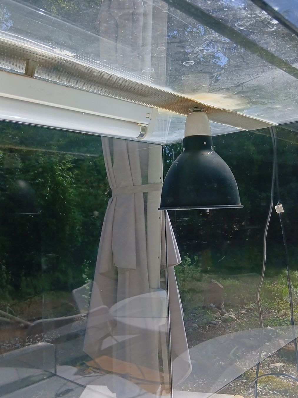 Terrarium: Terrarium – Gebraucht aus Uttigen von gur_l6vy 4