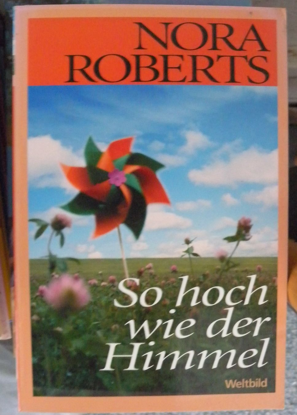 Livres: so hoch wie der himmel – D'occasion à Hauenstein par Danbach