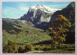 Grindelwald mit Wetterhorn