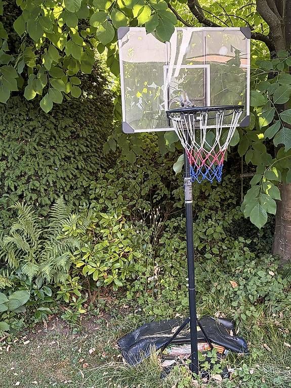 Canestri da basket: Basketballkorb – Usato da Seuzach venduto da YUMANI