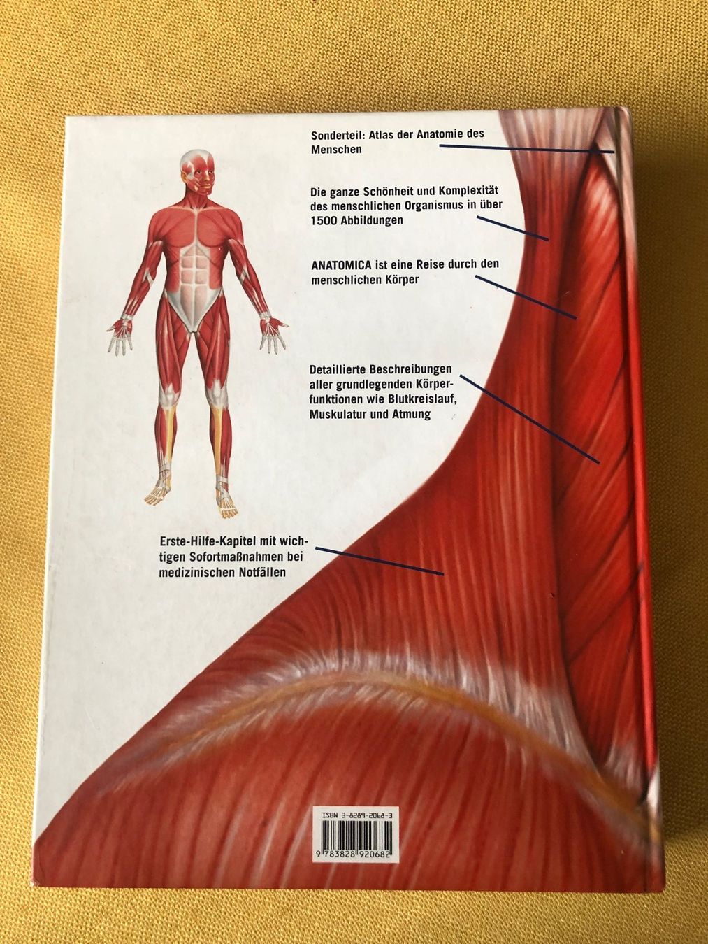 Libri: ANATOMICA von Könemann – Usato da Oberweningen venduto da Gerini 1