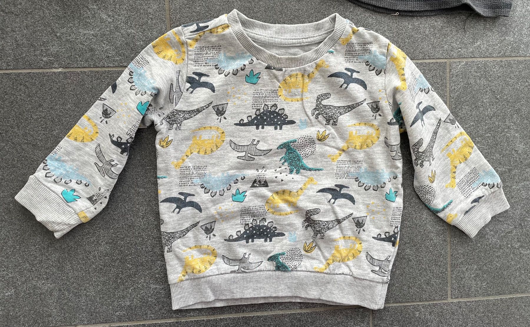 Maglioni & Felpe: Gr.80-86 (1-1,5 Jahre) Frühling Pullover Set – Usato da Kaltbrunn venduto da mar_7jpc 1
