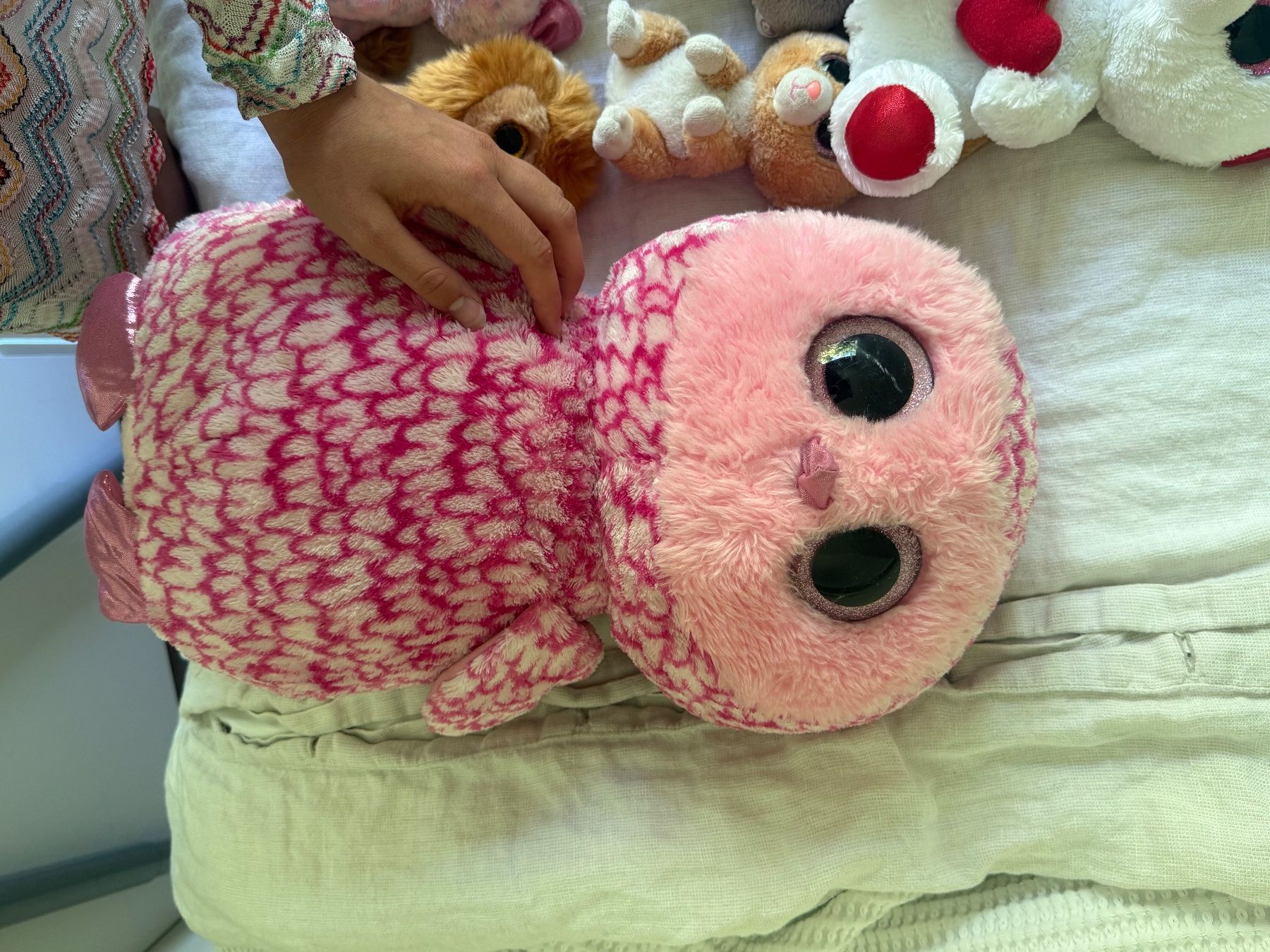 Ty Giocattoli: Beanie Boo Collection – Usato da Herrliberg venduto da ele_yzk8 4