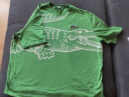 T-Shirt Lacoste Grün