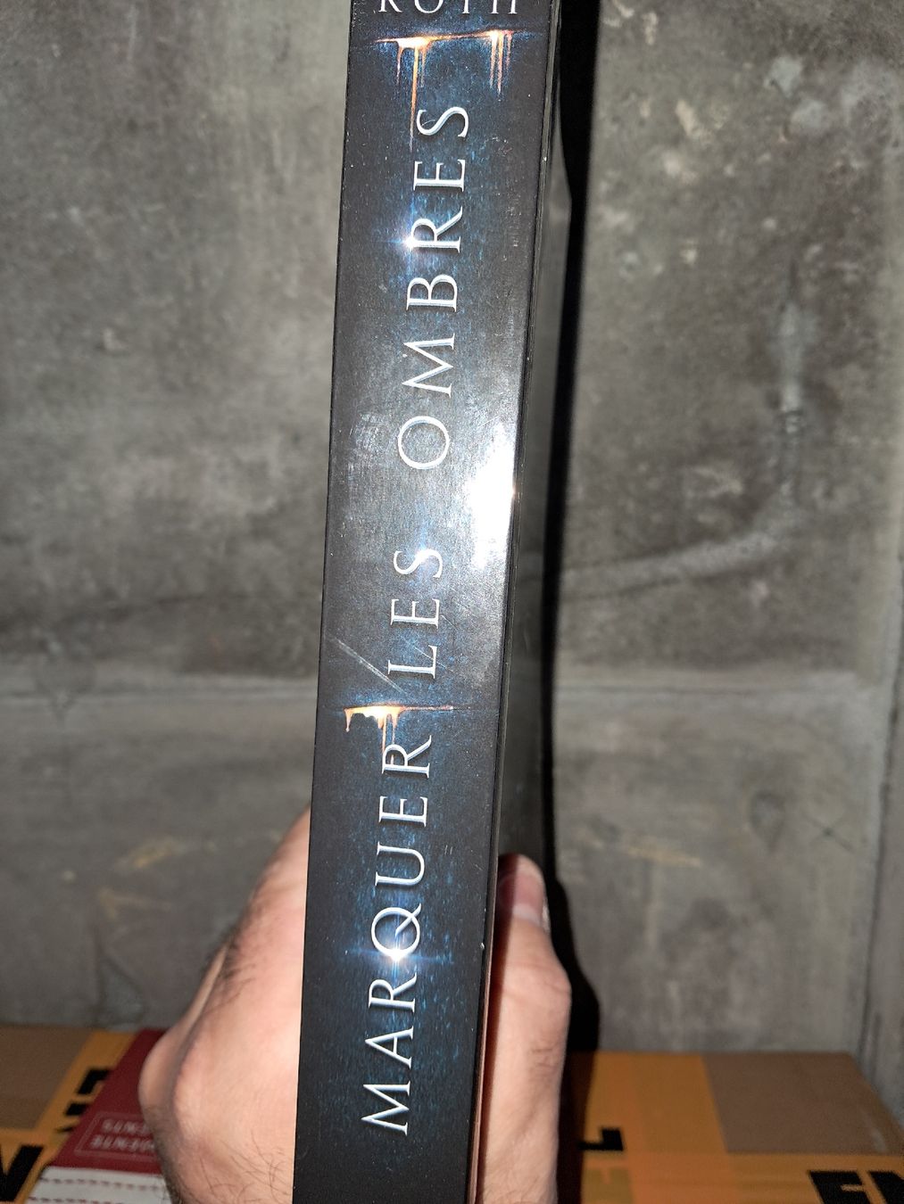 Bücher: Marquer les ombres de Veronique roth – Gebraucht aus Le locle von juliensaran 2