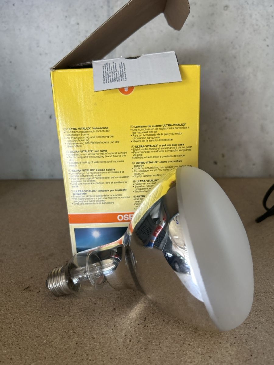 Osram Lampade: Osram Leuchtmittel – Usato da Roggliswil venduto da Huzchrutz 3