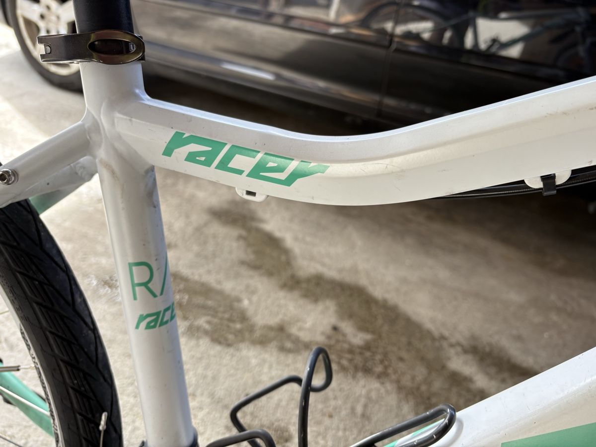 Biciclette: Damen Velo Racer 7.0 – Usato da Wilderswil venduto da kim_nbp9 2
