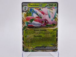 Dunkelnacht - Mantidea ex  (PBL 4) - DE