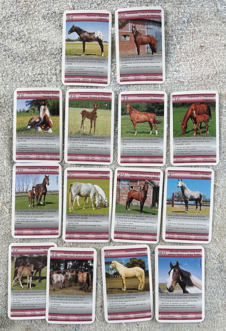 Giochi: QUARTETT PFERDE – Usato da Ostermundigen venduto da crazy-horse-1840 2