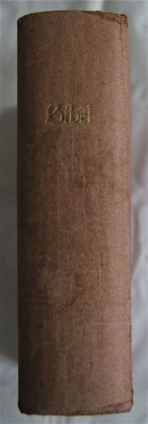 Libri: BIBEL – Usato da Stadel venduto da Wald100
