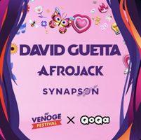 Billet Venoge Festival David Guetta