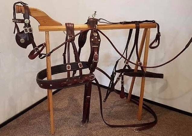 Attrezzatura da arrampicata: Harnais  exclusive pour cheval taille  Cob – Usato da Hinterforst venduto da Elfrasty
