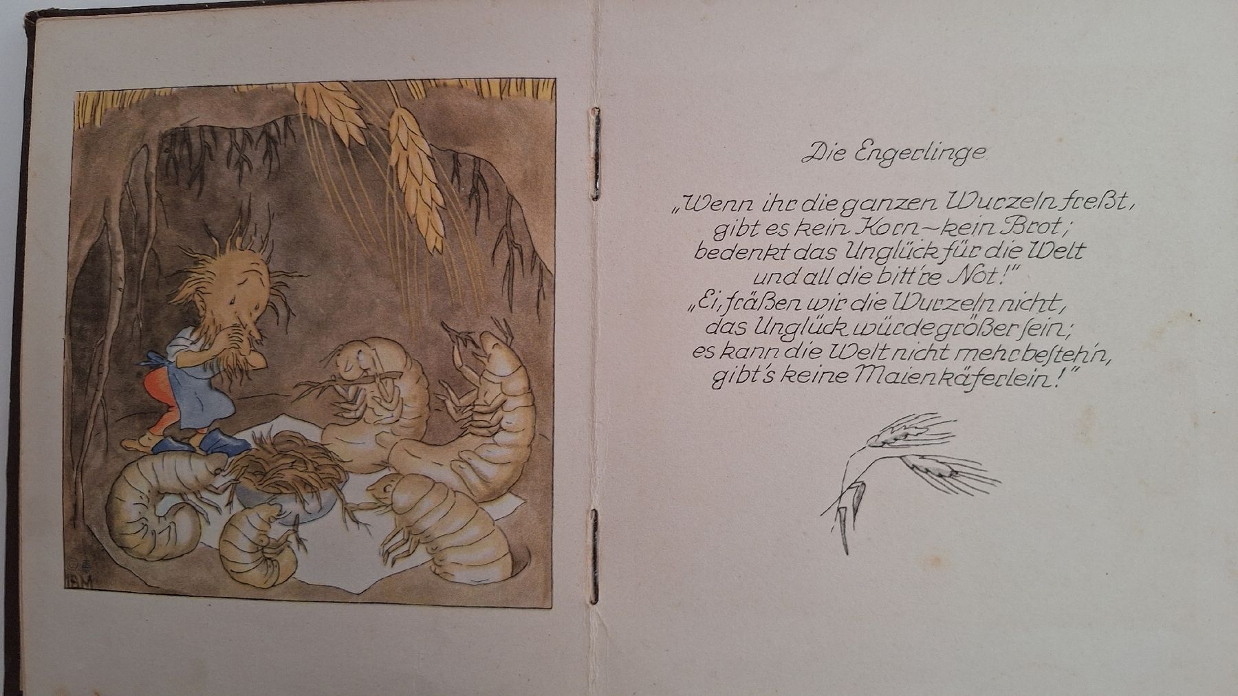 Livres: Bei den Wurzelmännlein – D'occasion à Muttenz par Biniruf 5