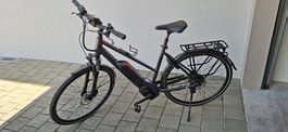 E-Citybike mit Tiefeneinstieg