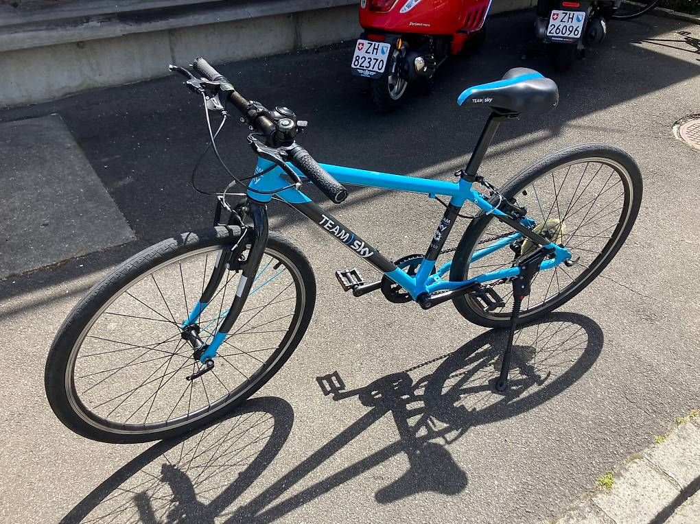 Biciclette: Kindervelo - Frog Bike 68 – Usato da Thalwil venduto da denko_denko 3