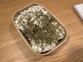 Getrocknete Blumen Weiss 100 Stk. Neu