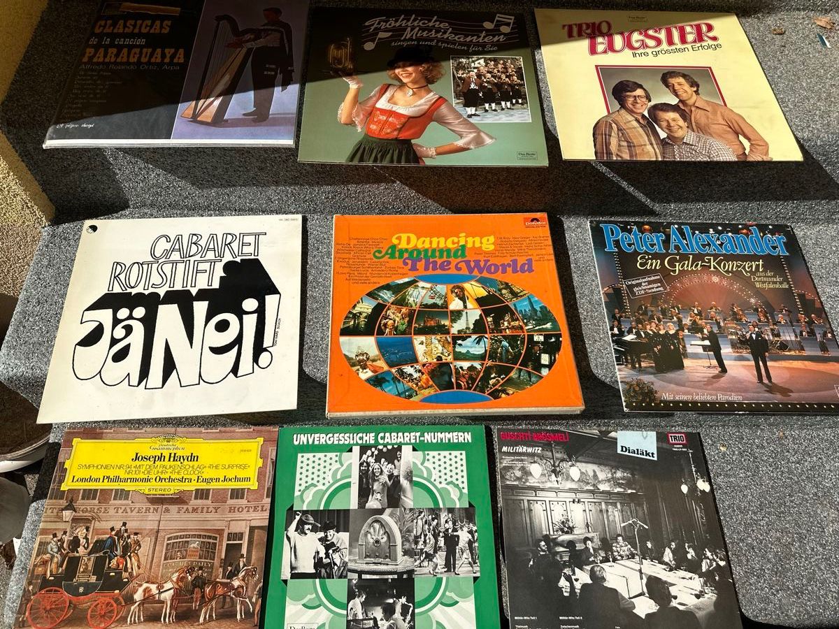 Dischi in vinile: 9 Schallplatte Sammlung – Usato da Oberentfelden venduto da vilibrand 2