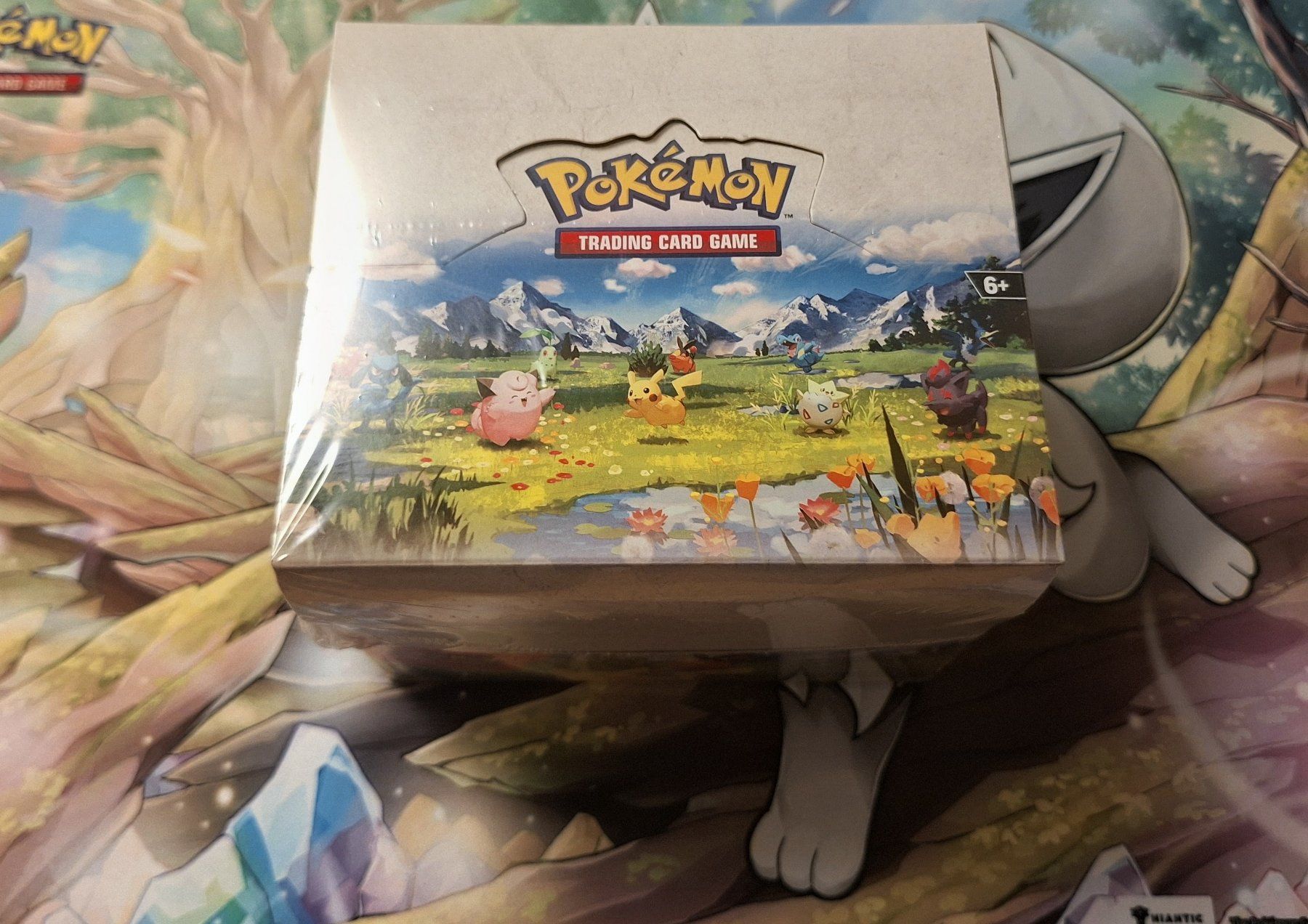 Pokémon Sammelbilder & Trading cards: Pokemon Ascended Heroes Tin Display Sealed – Neu und originalverpackt aus Küsnacht ZH von nichuu