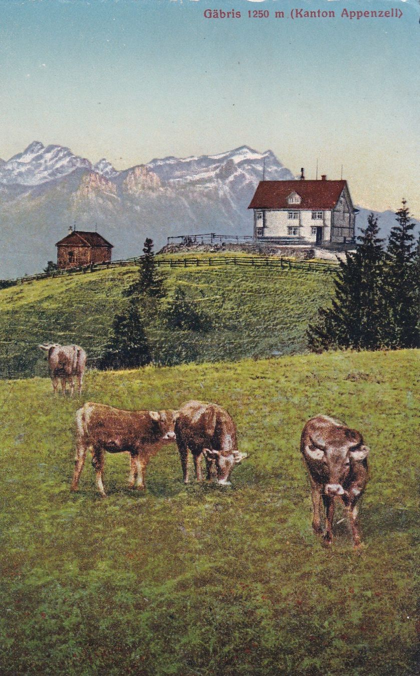 Cartoline postali: Gäbris ( Kanton Appenzell ) – Usato da Cormoret venduto da Pascalll2001