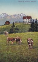 Gäbris ( Kanton Appenzell )