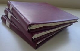 1850-1968, 3 dicke Vordruckalben ab Rayons +Strubel,Diverses