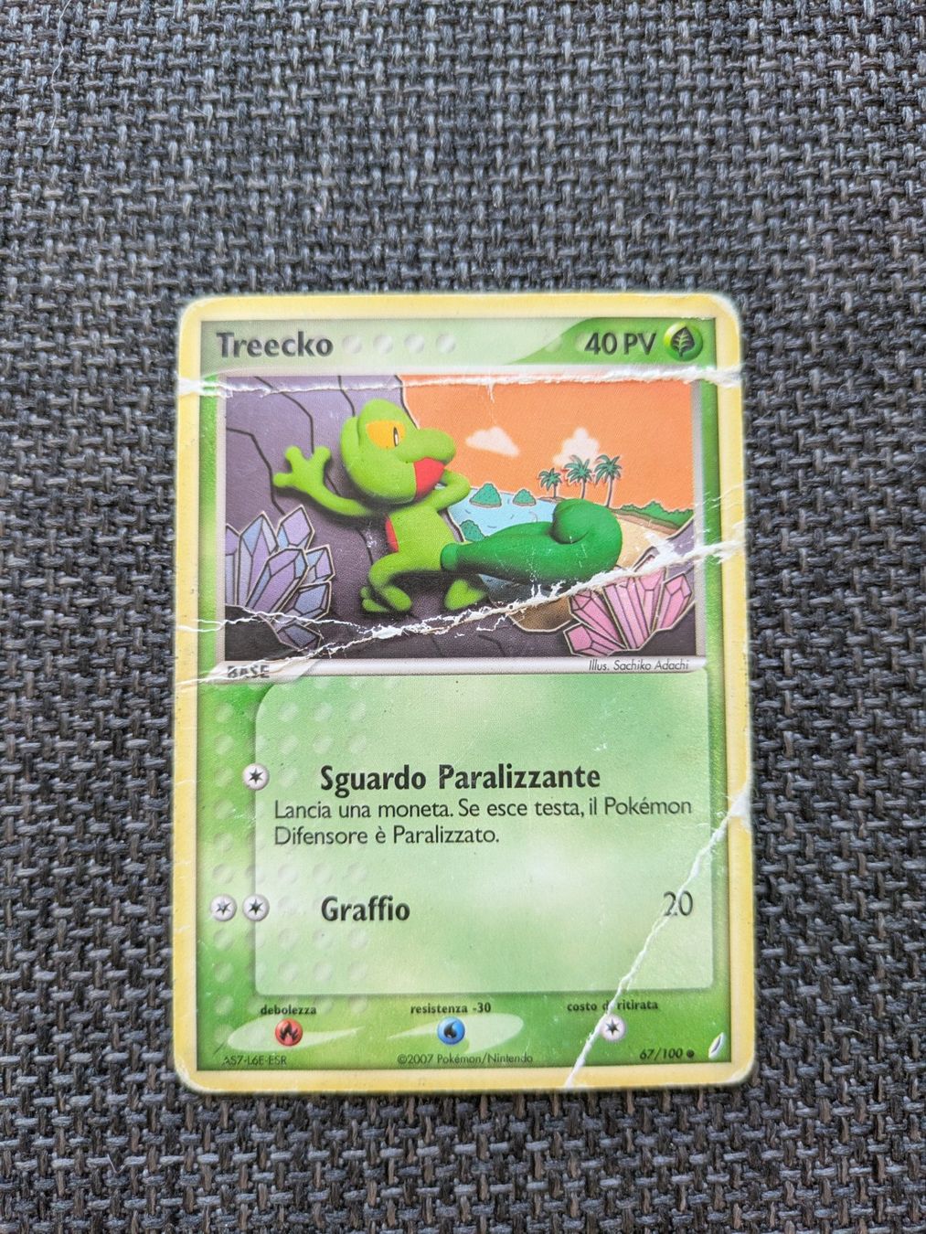 Pokémon Sammelbilder & Trading cards: TREECKO, EX CRYSTAL GUARDIANS, 67/100, COM, 2006, ITA, LP – Gebraucht aus Losone von AlpineLayer