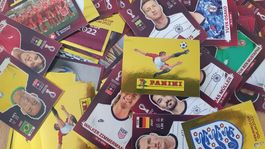 Panini 2022 QATAR ORYX Edition Stiker Panini