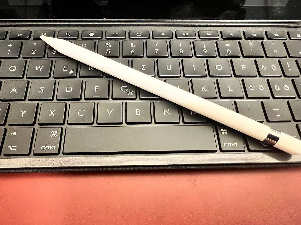 Tablet PC: iPad Pro, 9.7-inch, Wifi + Cellular, 128 GB – Usato da Regensdorf venduto da Eesposito 3