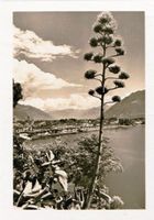 Ascona,  2 spez. Karten in Grossformat