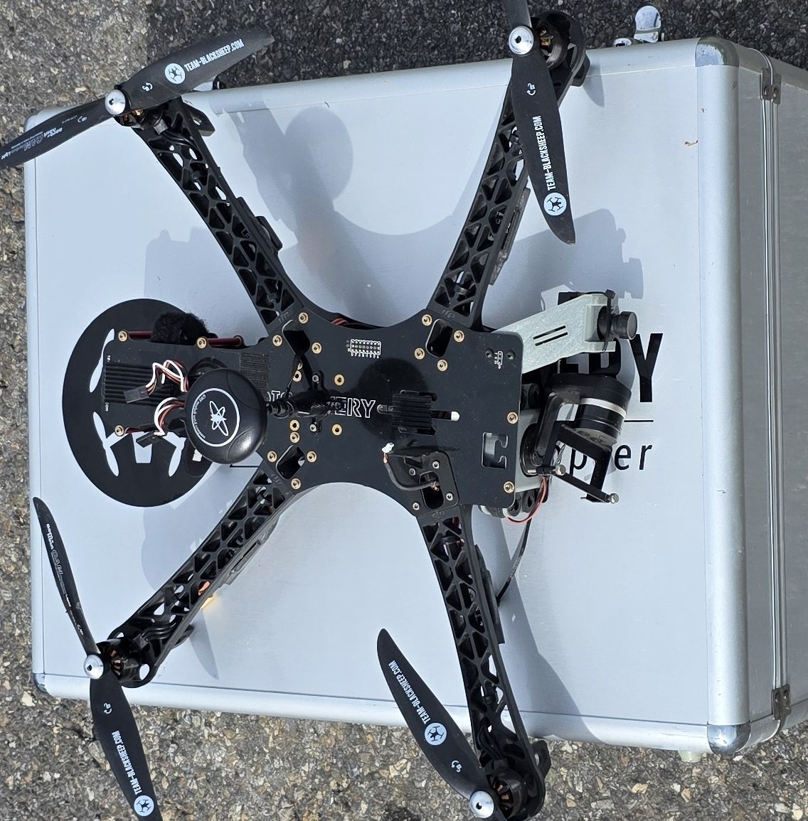 TBS Modellismo RC: Drohne Team Blacksheep Discovery  – Usato da Meikirch venduto da Letgo01