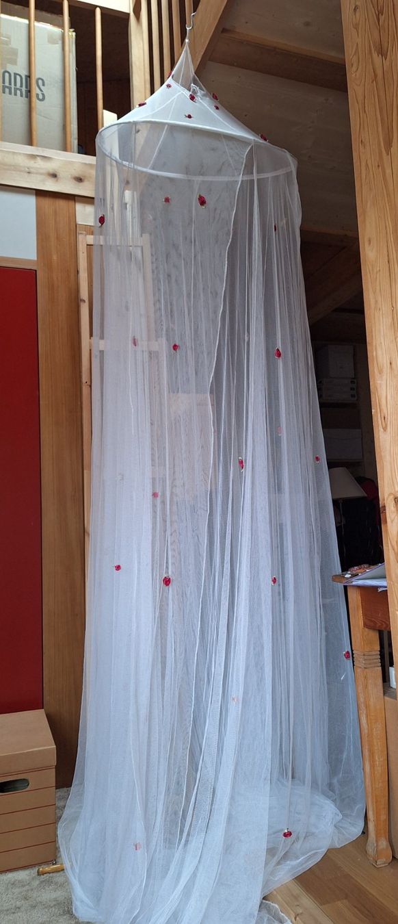 Tutte le decorazioni: Mückennetz weiss mit Rosen – Usato da Gipf-Oberfrick venduto da Harfenisa