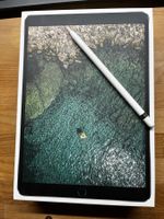 iPad Pro (10.5-inch) Wi-Fi 64GB (2017) inkl. Apple Pencil